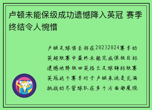 卢顿未能保级成功遗憾降入英冠 赛季终结令人惋惜 卢顿未能保级成功遗憾降入英冠 赛季终结令人惋惜